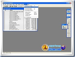 Mapinfo65